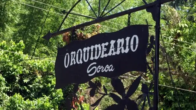 Orchideengarten