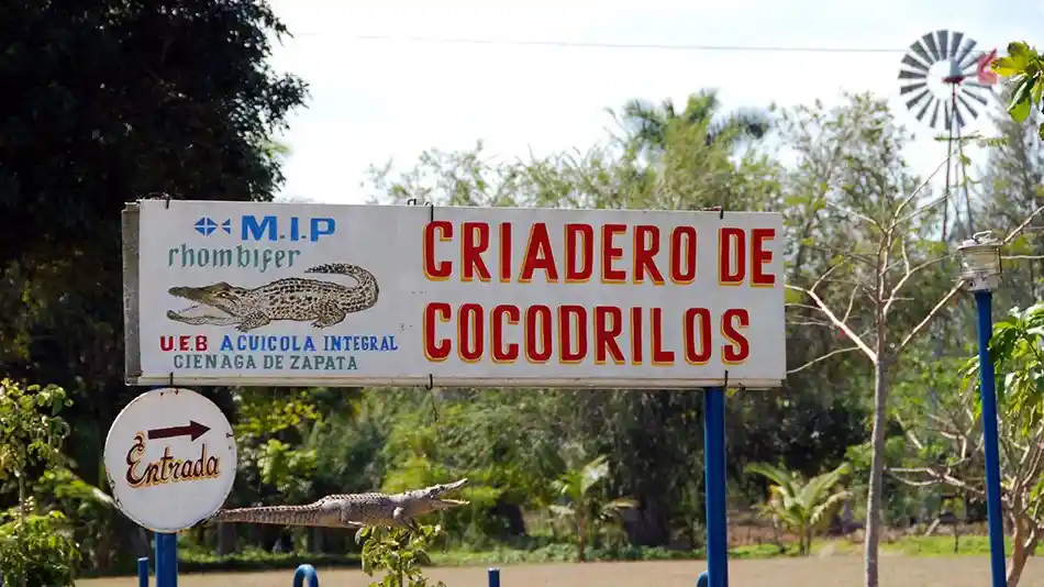 Ferme aux crocodiles